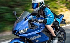 色情国产成人小说在线观看